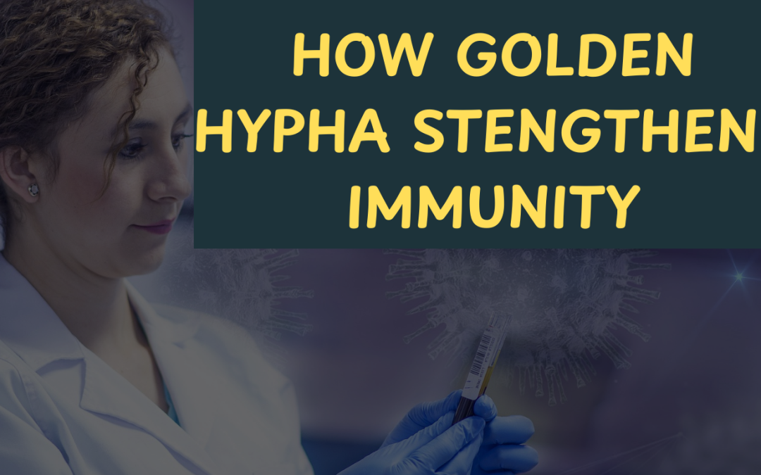 How Golden Hypha Strengthens Immunity and Supports Recovery in Immune-Compromised Conditions