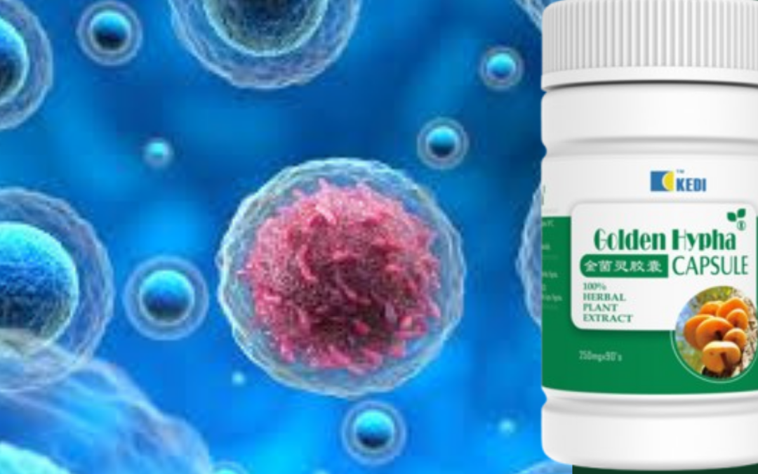 Golden Hypha: Immune-Boosting Herbal Support for Cancer, HIV, Hepatitis, and Chronic Infections